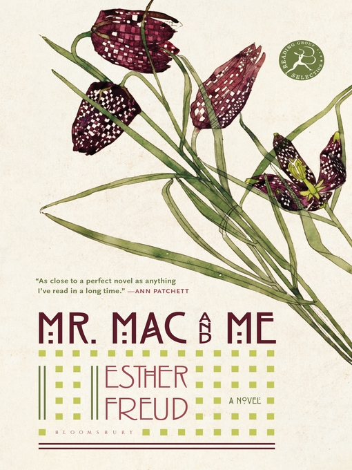 Cover image for Mr. Mac and Me
